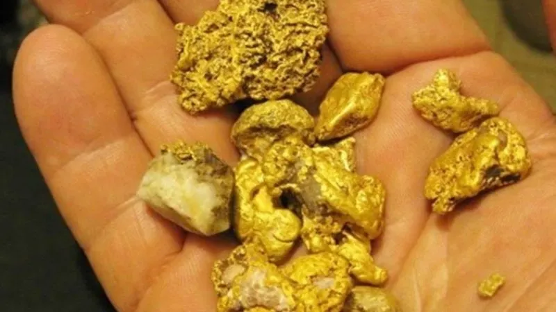 0X0 3 5 Kurusa Hurdacilara Kaptirmayin Vatandaslar Cope Atiyor Ama Yuzde 99U 22 Ayar Altin Cikti 1708519476013