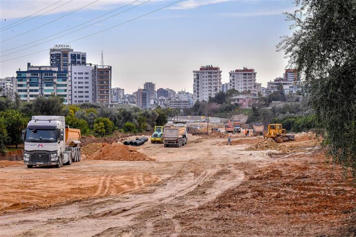 24188420240216092004 (Small)