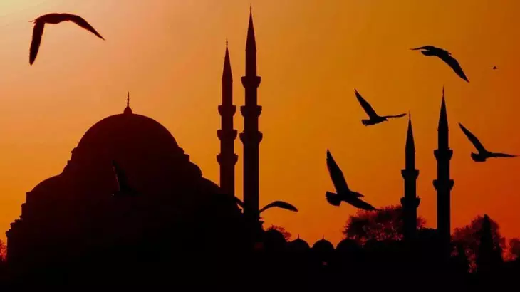 65D5A1E01A3D381F9Acbc98E