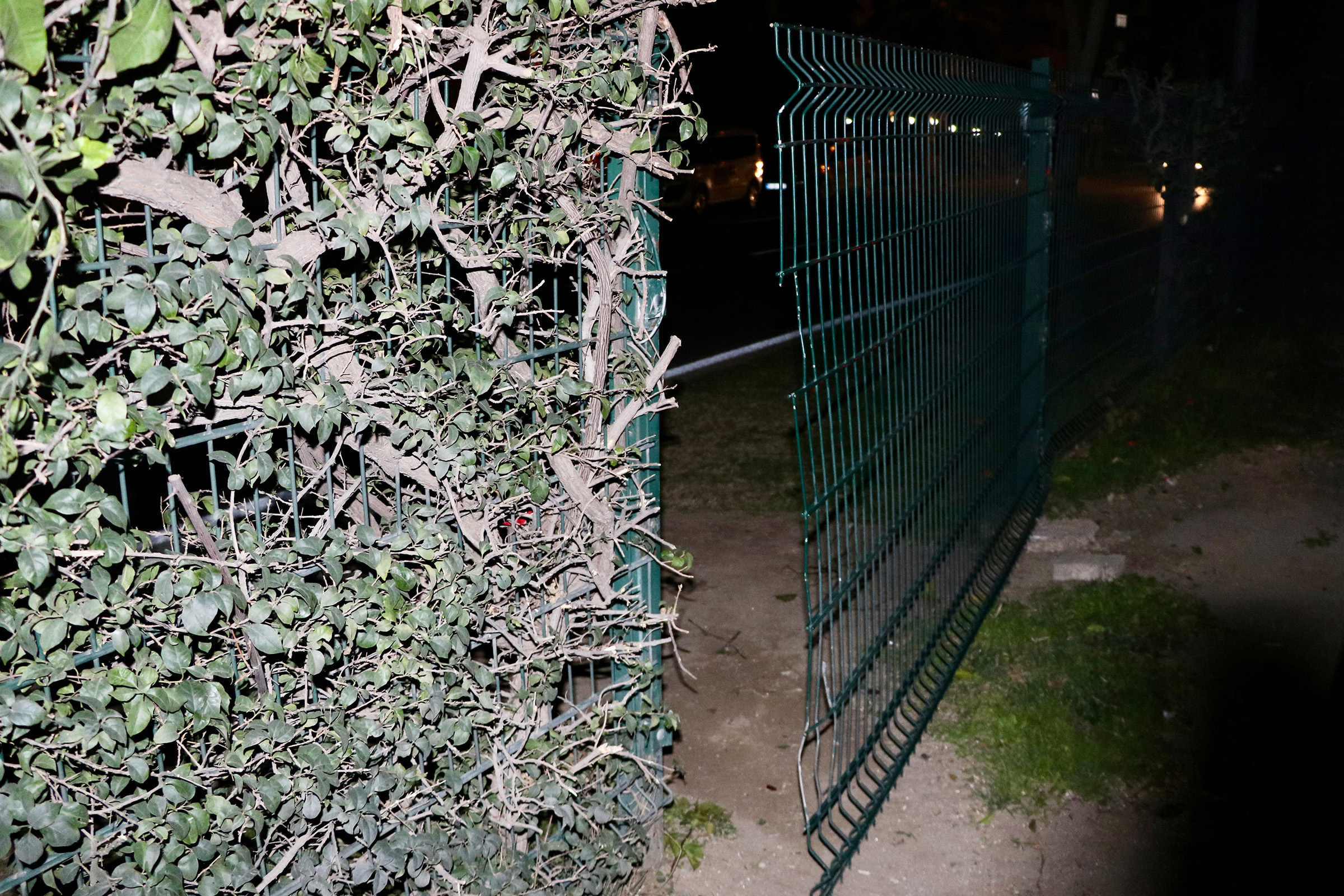 Antalya Yolun Karsisina Gecerken Motosik 17373 (2)