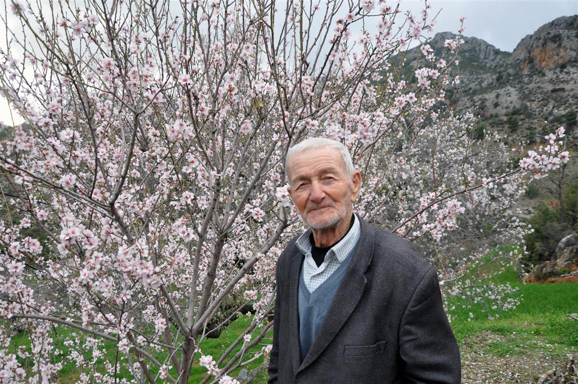 Antalyaya Baharin Mujdesi Geldi Resim (Medium)