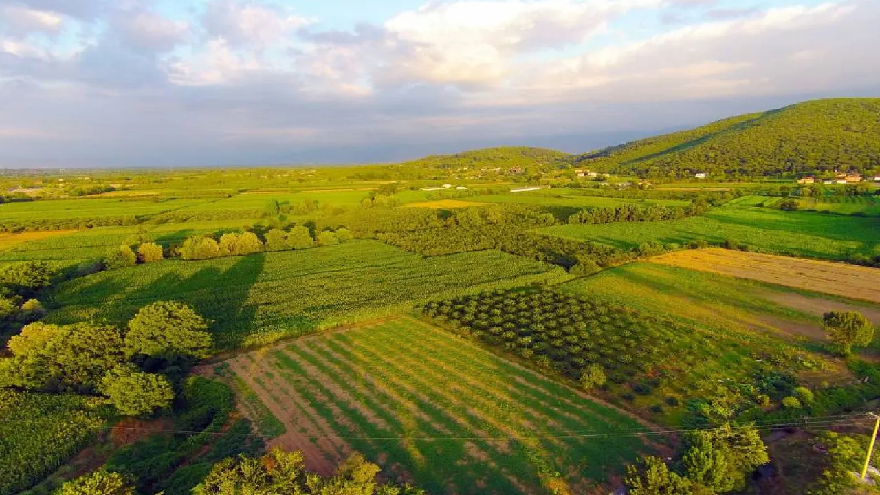 Bilgisayardan Ucuz Fiyata Arsa Satisi Basladi Milli Emlak Tan Onlarca Ilde Kelepir Arsa Satisi 1200 184897