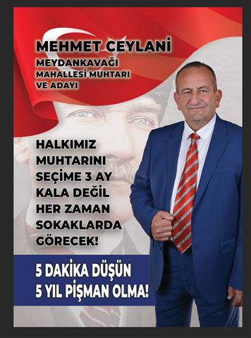 Ce6C0C7F E992 43E8 B108 720Fdf9F88F0 (Small)