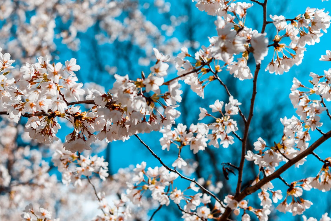 Cemreler Ne Zaman Dusecek Resim