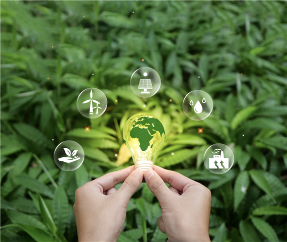 Ck Enerjiden Yesil Resim (Small)