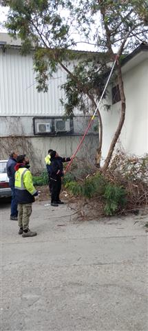 Df84088A Ace5 4E42 Beb2 F9B3B34Eedff (Small)