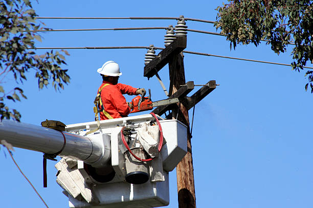 Elektrik Kesintisi (58)