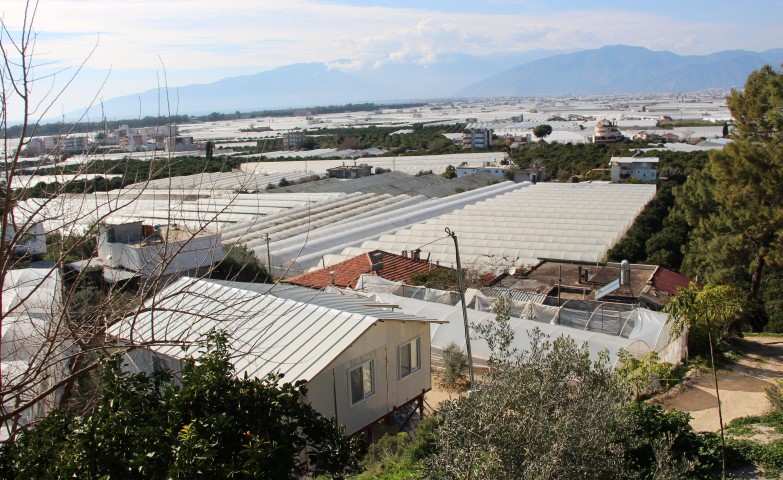 K U M L U C A D A B E L E D I Y E N I N I M A R T A D I L A T I N A T 17920