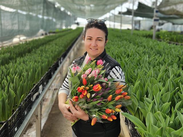 Kadinlar Gunu Icin Suda 200 Bin Lale Ure 15574 (Small)