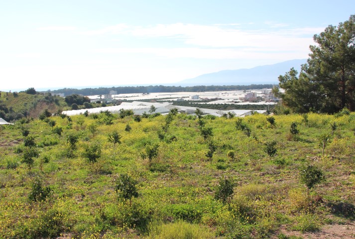 Kumlucada Belediyenin Imar Tadilatina T 17920 (2)