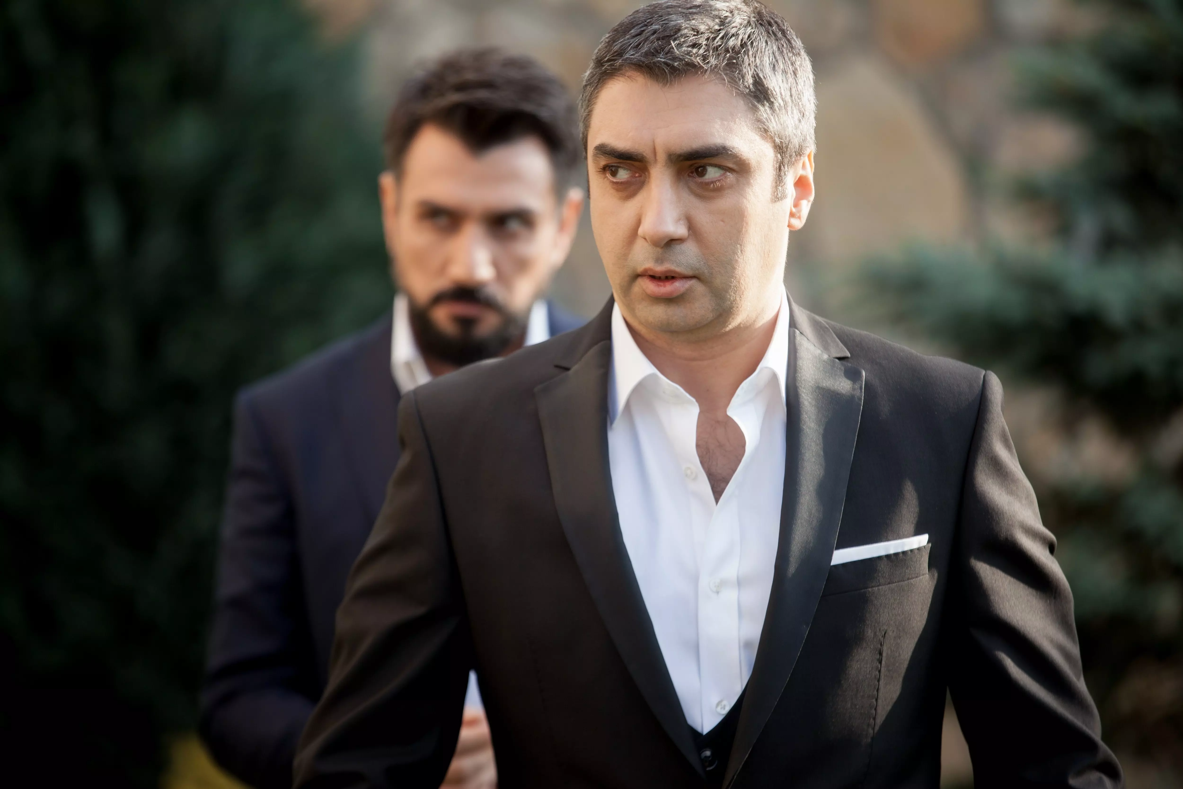 Kurtlarfoto