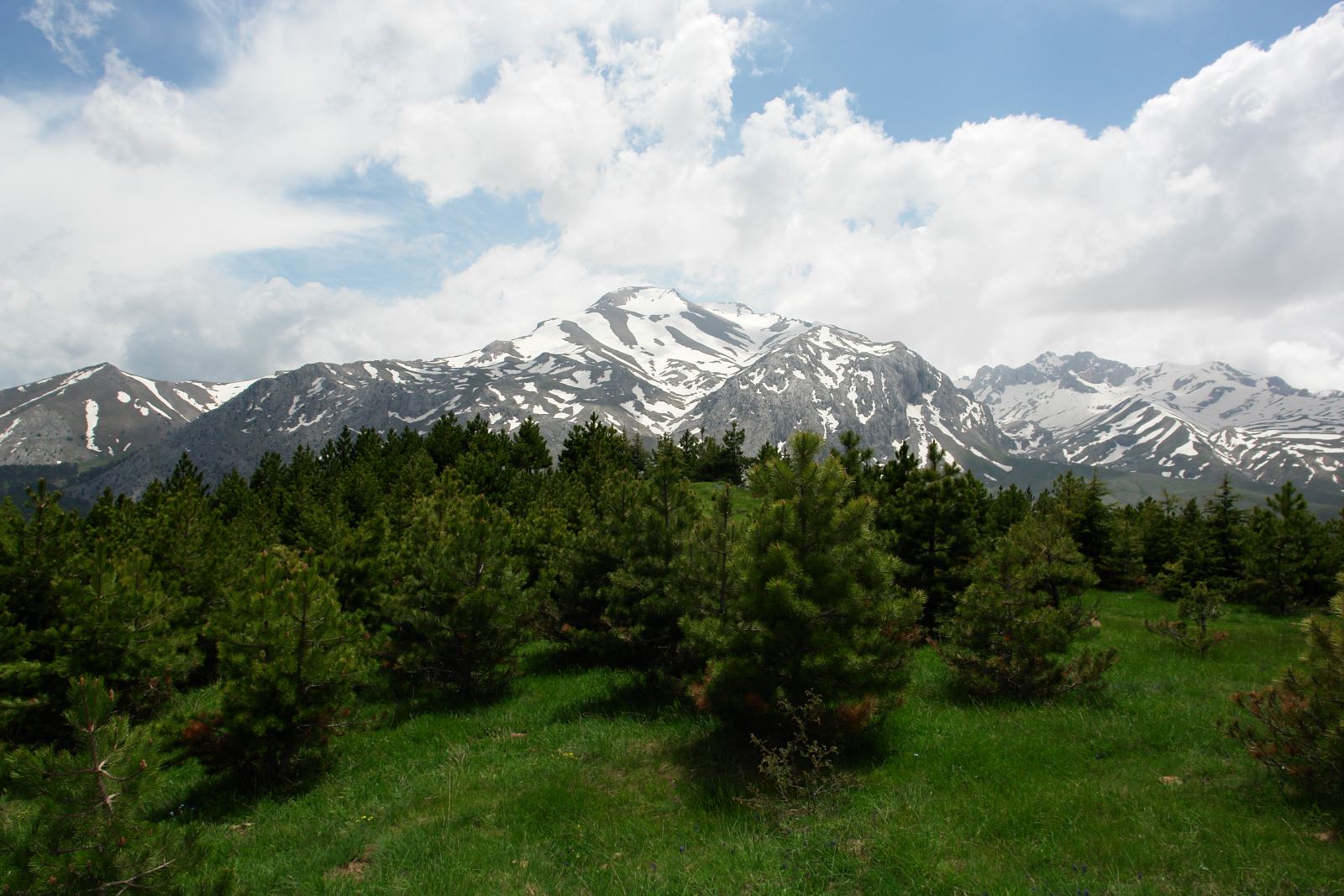 Melikler Yaylasi Kamp Resim