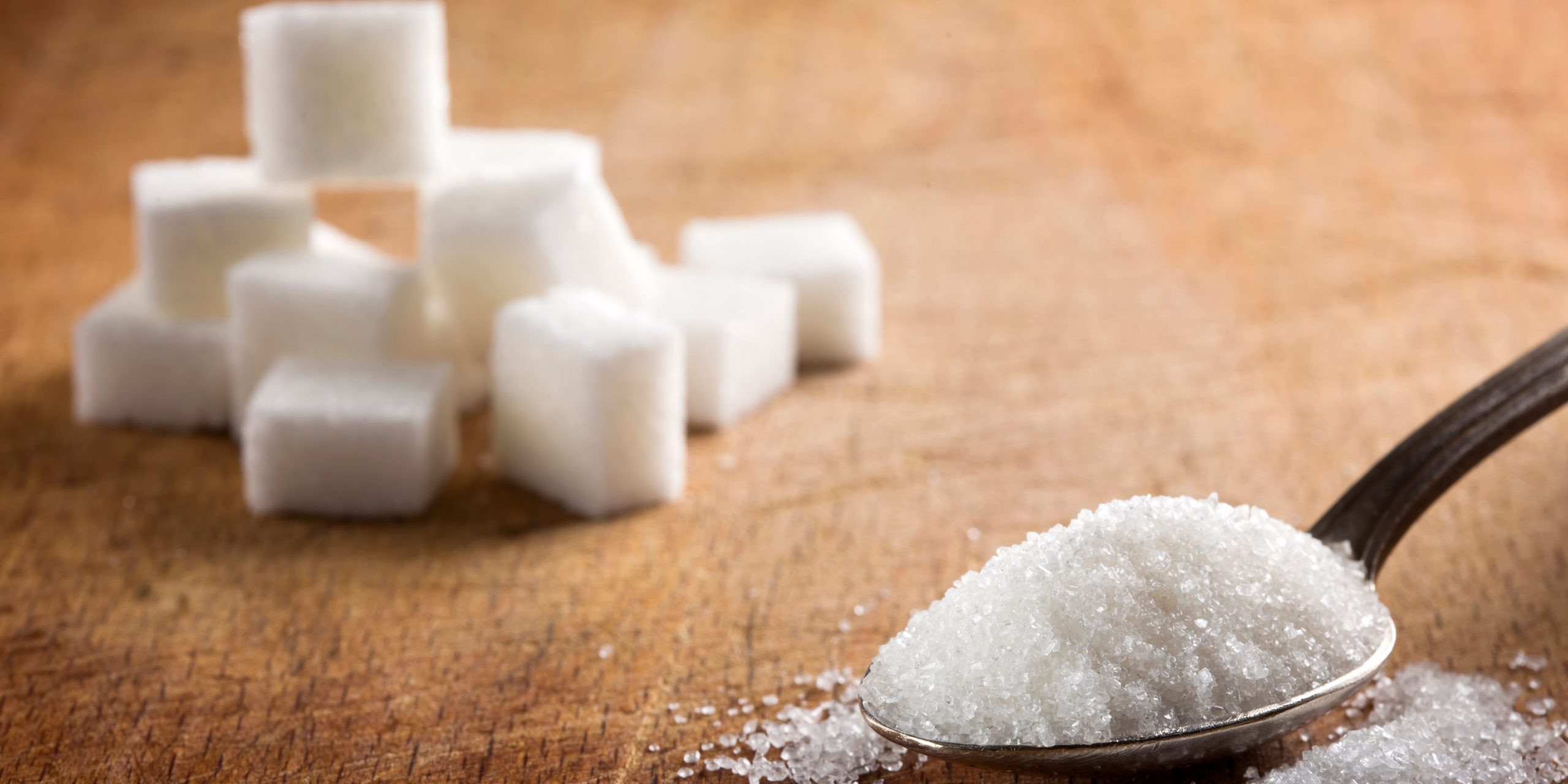 Seker Fotografi Resim