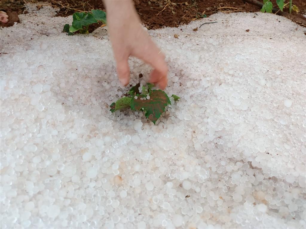 Whatsapp Image 2024 02 13 At 11.53.40 (Medium)