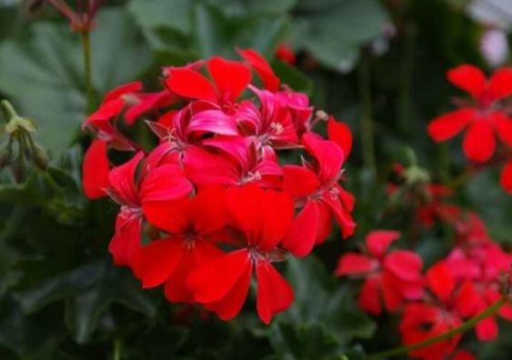 1D3F3B8D 2Fd3 43F5 Bbef 220Cced4Be2C