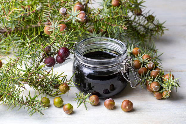 3385028 E3198Dbc611542B7Edf374Db82Addf9F