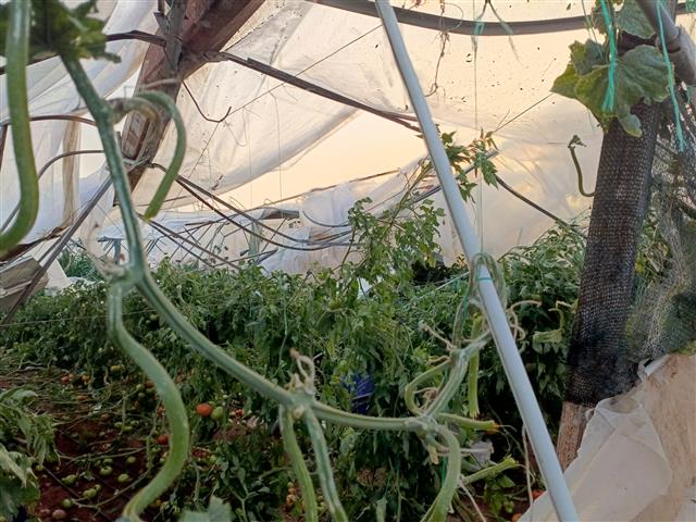 498Ee4Aa 83D1 48E5 Ba45 380Cfd7C7D93 (Small)