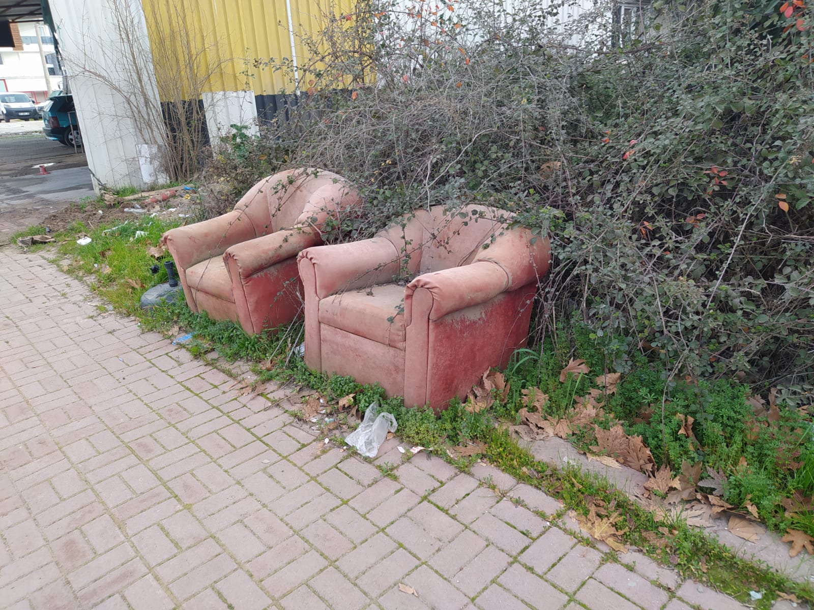 696280E3 2Fa9 474F A92B 97Fa2C8059E3