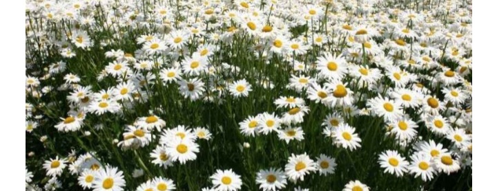 73566123 3Fde 4E9D A200 47Ca0Cef164B