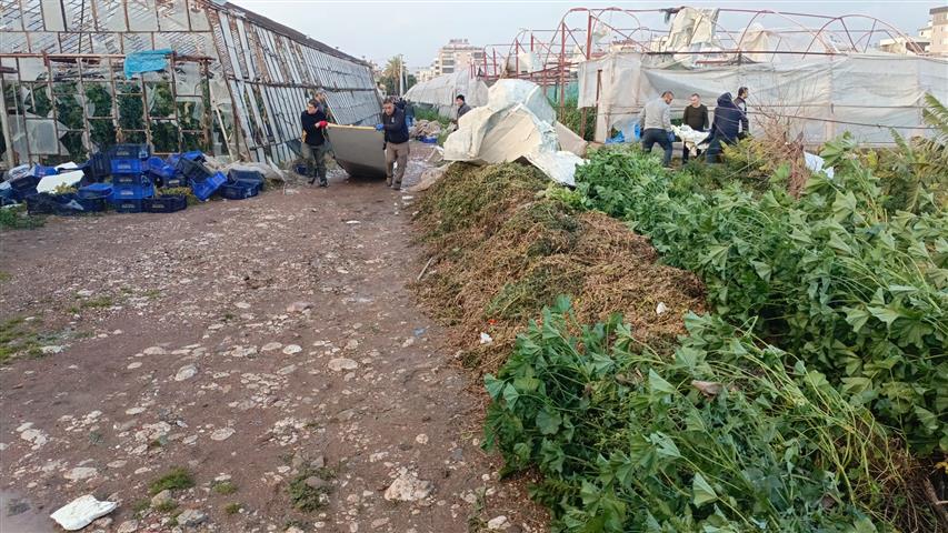 7Ea0C98B E35D 4663 B1Ea Ceb7B6187733 (Small)