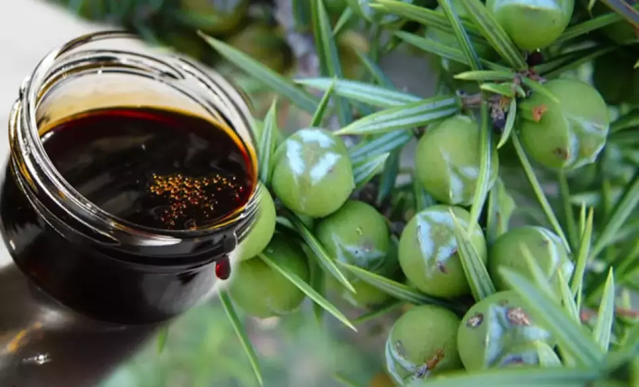 Andiz Pekmezinin Faydalari Nelerdir Andiz Pekmezi Hangi Hastaliklara Iyi Gelir 1548593958 8123