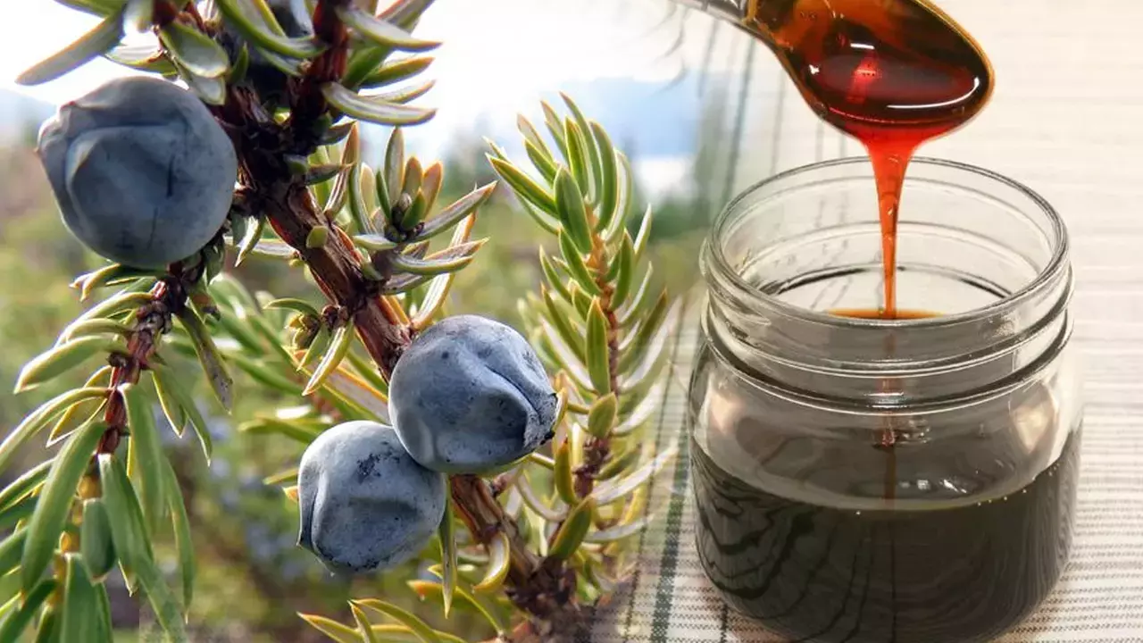 Andiz Pekmezinin Faydalari Nelerdir Gercek Andiz Pekmezi Nasil Anlasilir 1667979158 0485