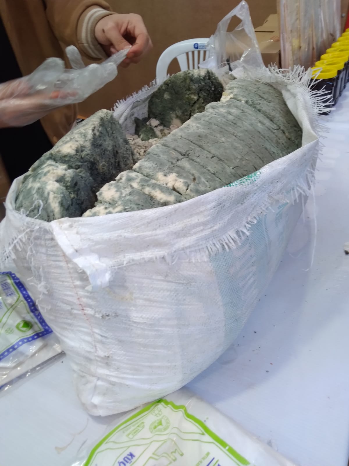 D2353E27 B7F1 468B 95Ac C88Ea056F936