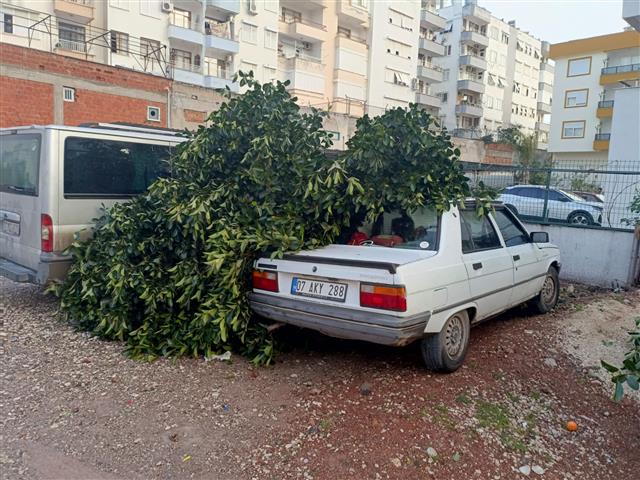 E7149512 8018 4D8D 84B0 3Bb5930B3A97 (Small)