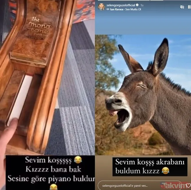 Işın Karaca Eşek Göndermesi Görsel