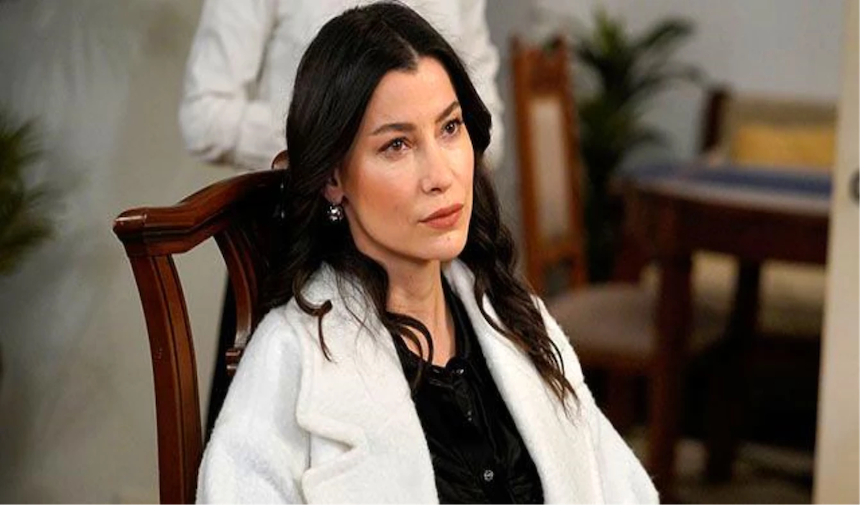 Kizilcik Serbeti Alev Ve Pembe Nin Ayni Evde 16964919 Amp Kopyası