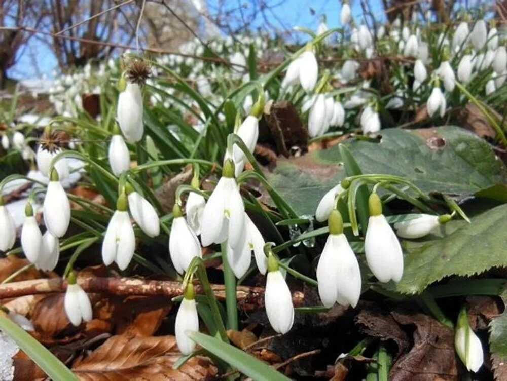 O I Vti O V M O Em F U H Xggnrxnw