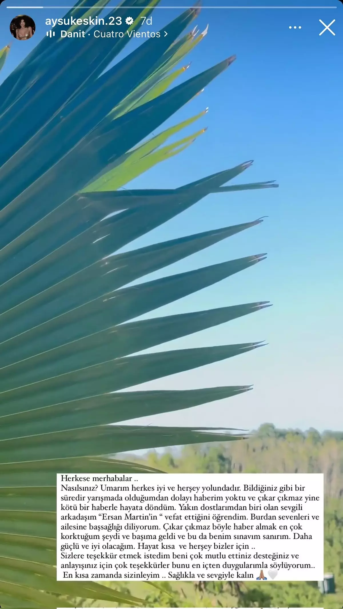 S A9E19C5E5F8B2970168317D0013C77Af7Db69D26.Jpg