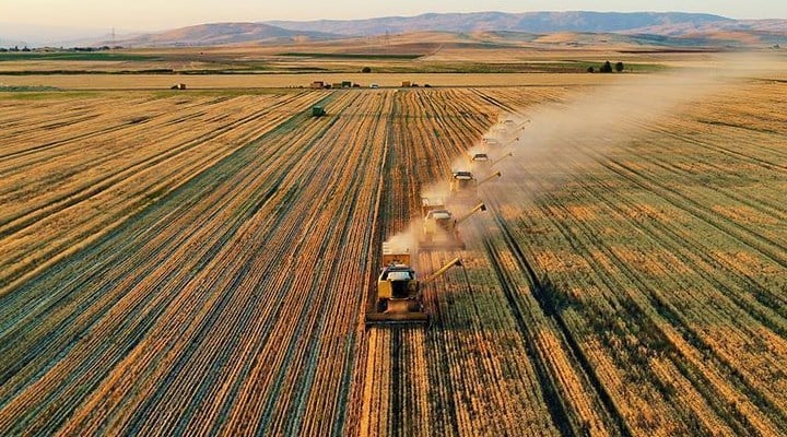 Tarim Destek Odemesi Ne Zaman Yatacak Resim.jpeg