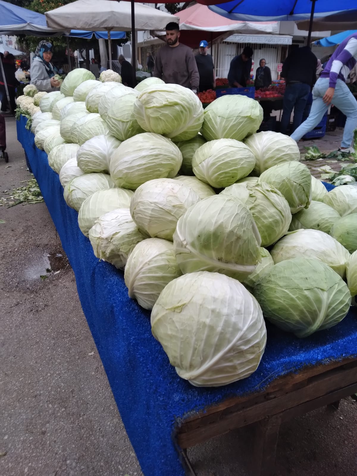 Whatsapp Image 2024 03 18 At 19.01.40