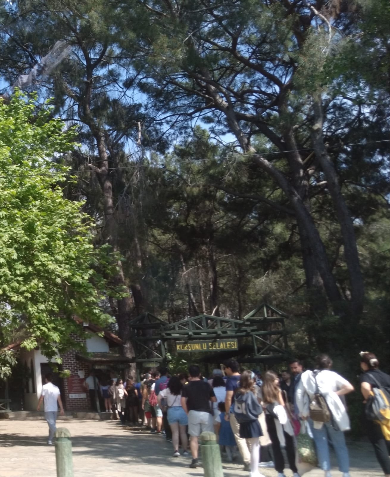 0253Cafb A015 4Dec Af82 3F488754105A