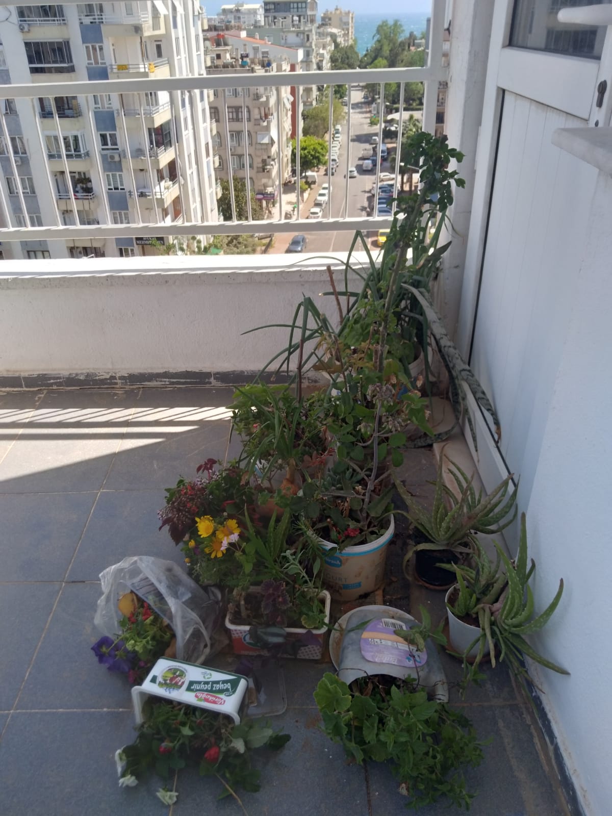 1360C976 7296 4656 A3A3 B7A5Ad54F358