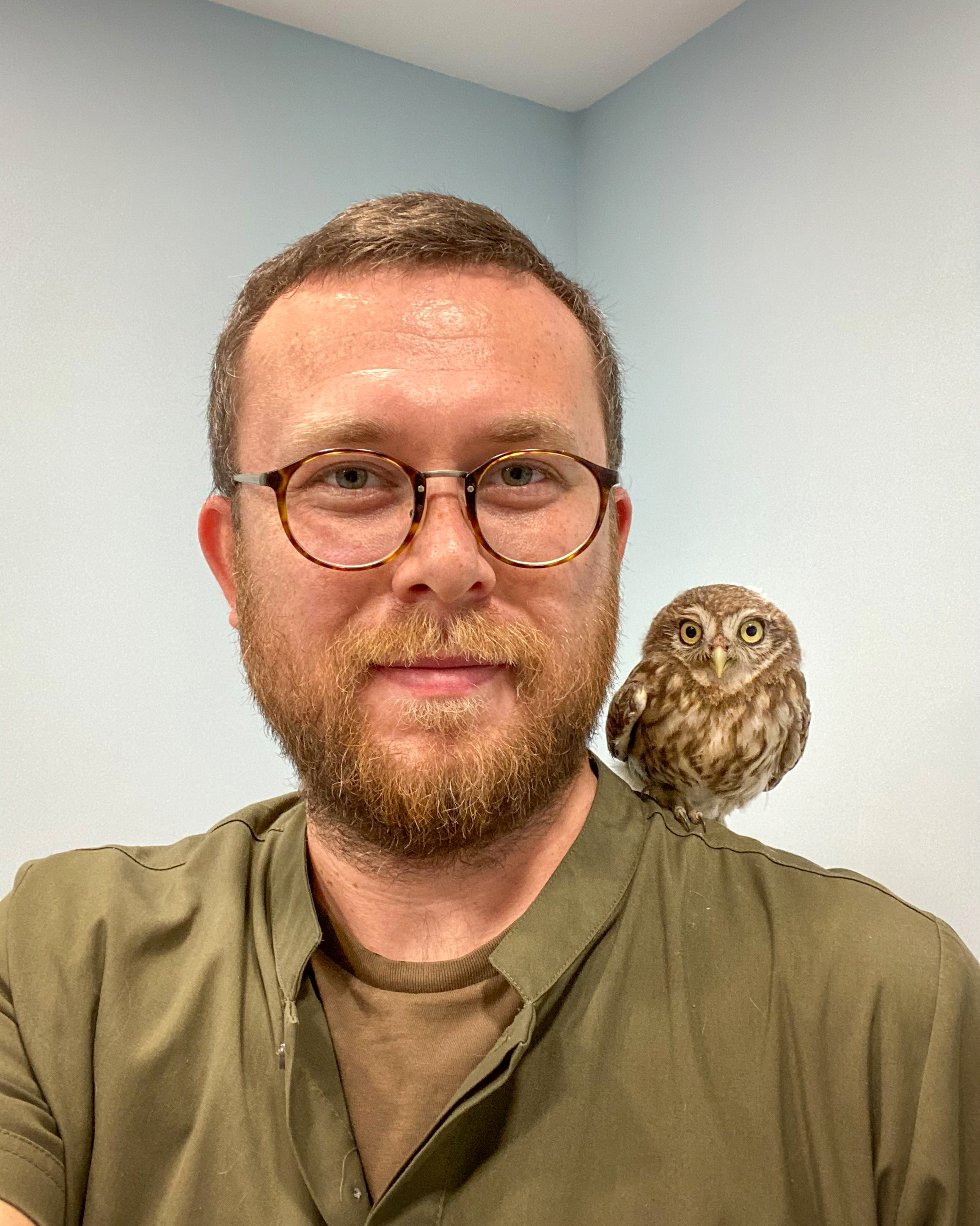 255 K U S U N T E D A V I S I N I Y A P I P D O G A Y A G E R I 44724