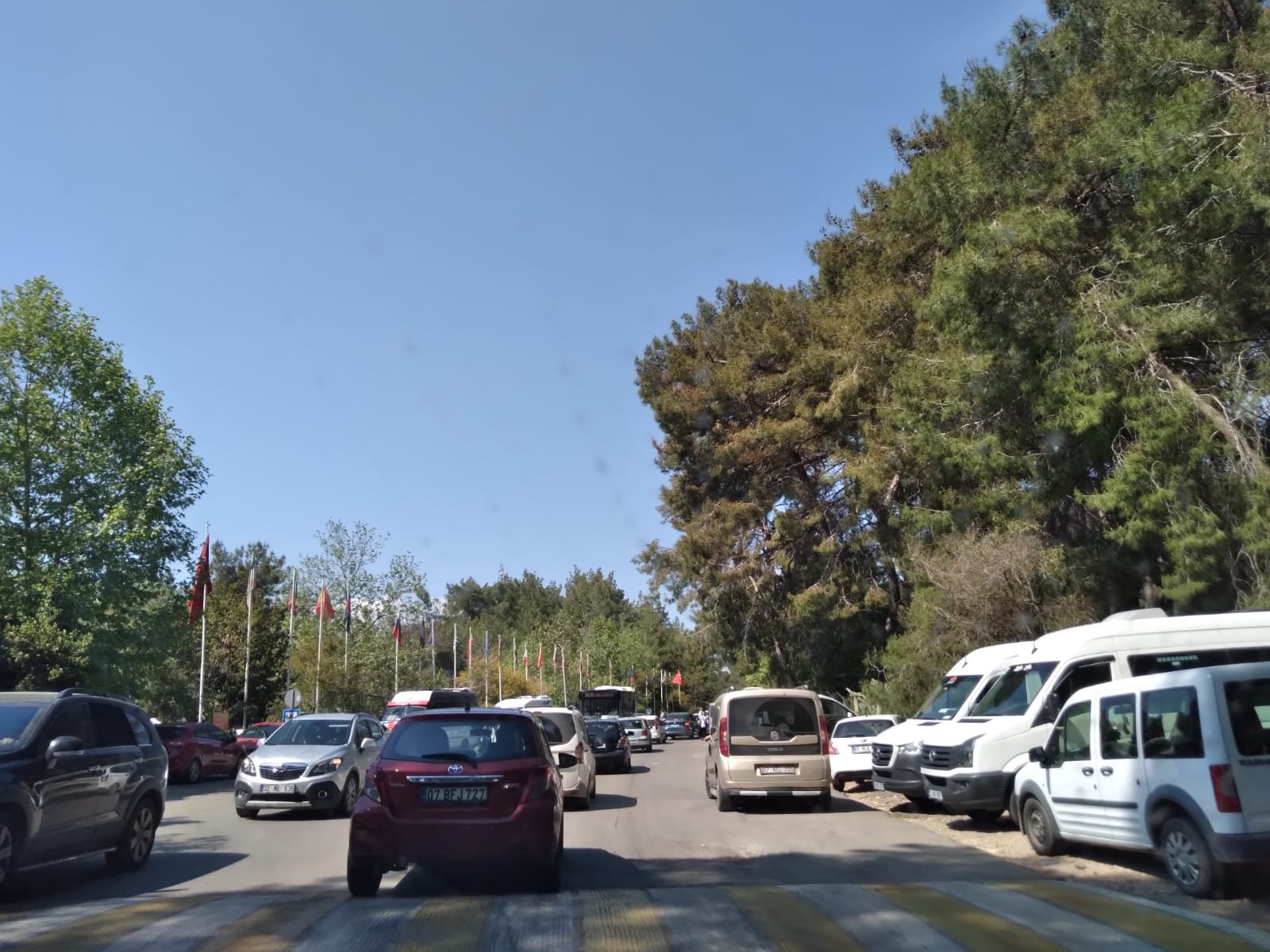 2F05E222 Aea5 4Bd1 820F B9Fb216E4Ada