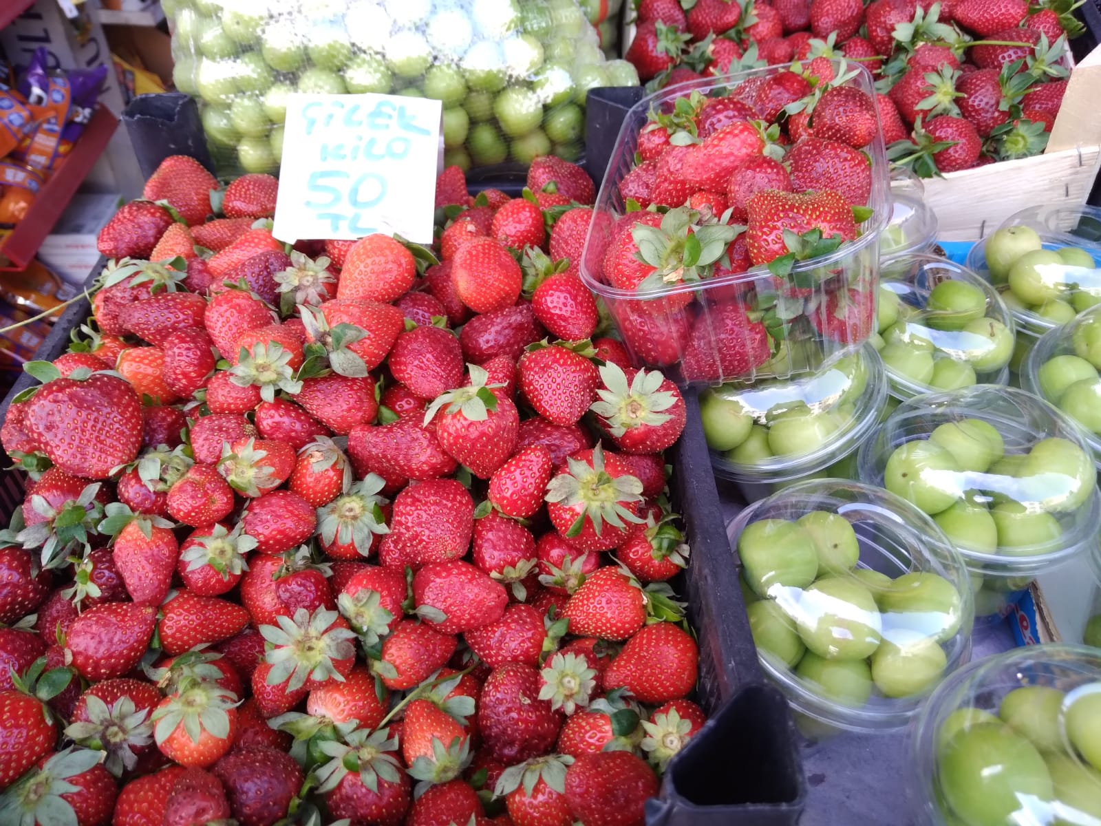 475317C5 8444 446F A7D7 A6215B81Ef23