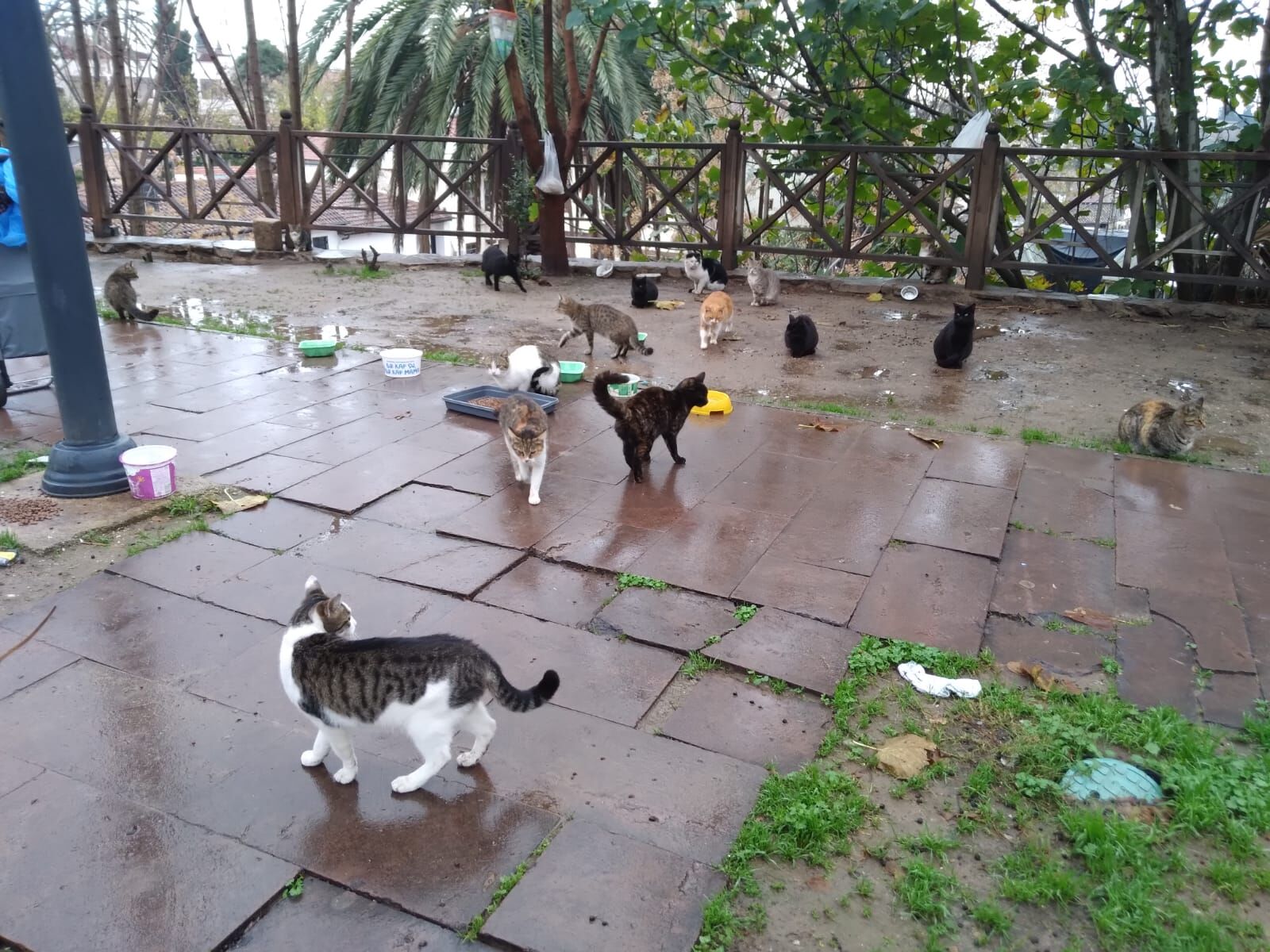 5A1228C4 Bb21 4882 9A7A 7Bafea39Fee8