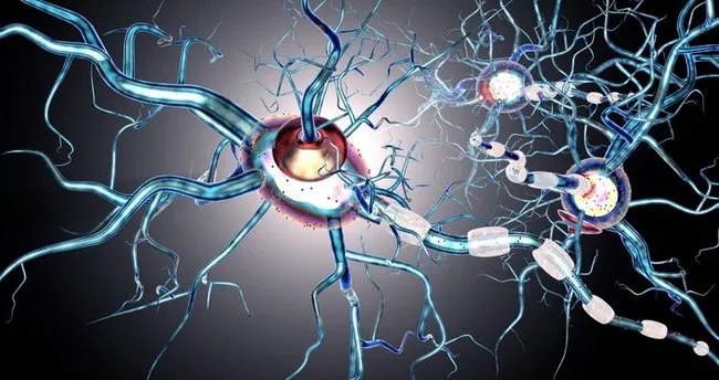 650X344 Ms Hastaliginin Tedavisi Nasil Olur Ms Hastaligi Nedir 1564913449286