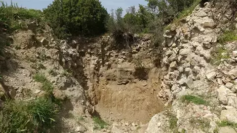 cimpe kale