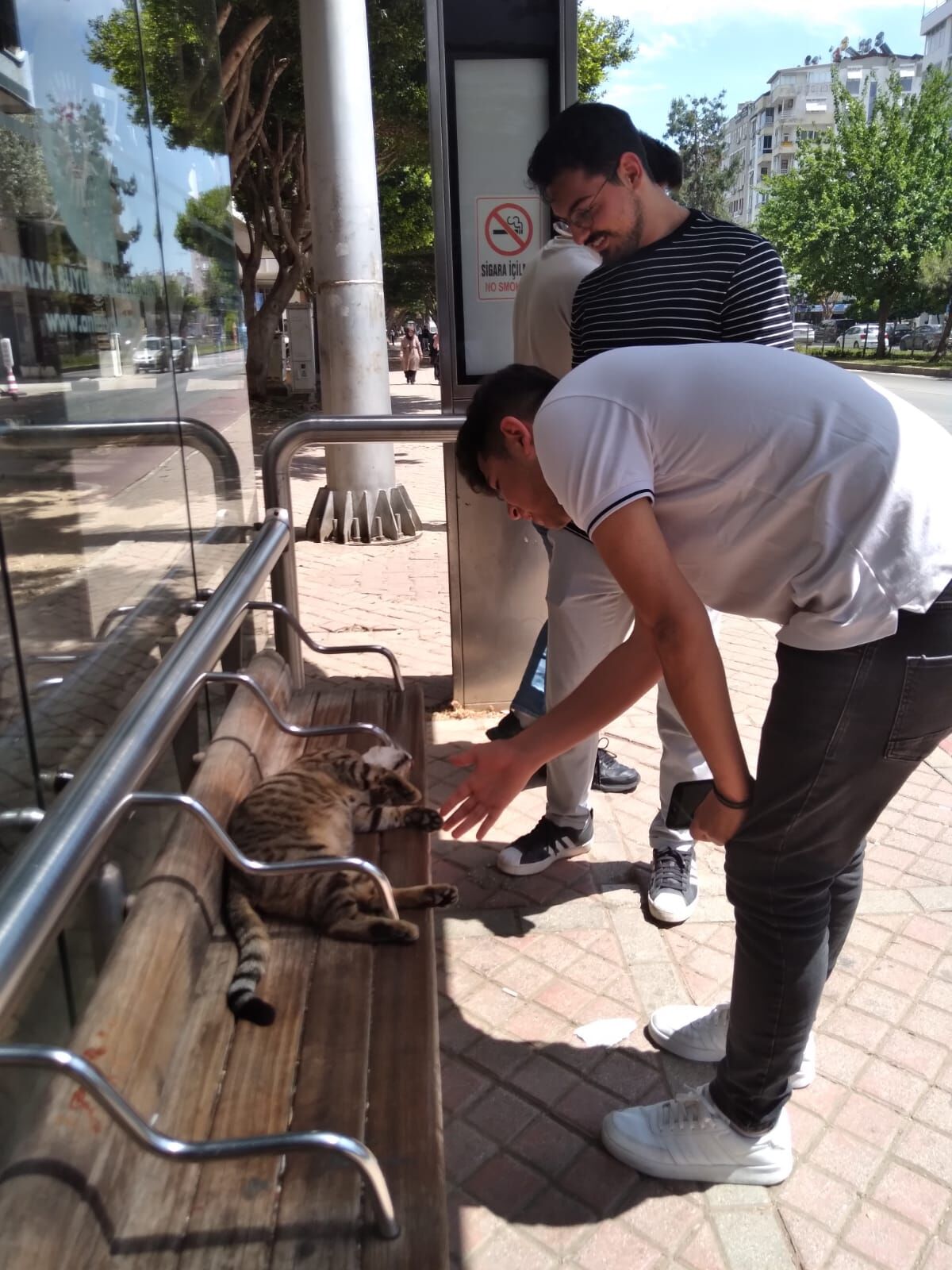 726Ca3F2 F4C2 4Eaf 9D5F E998545F5607