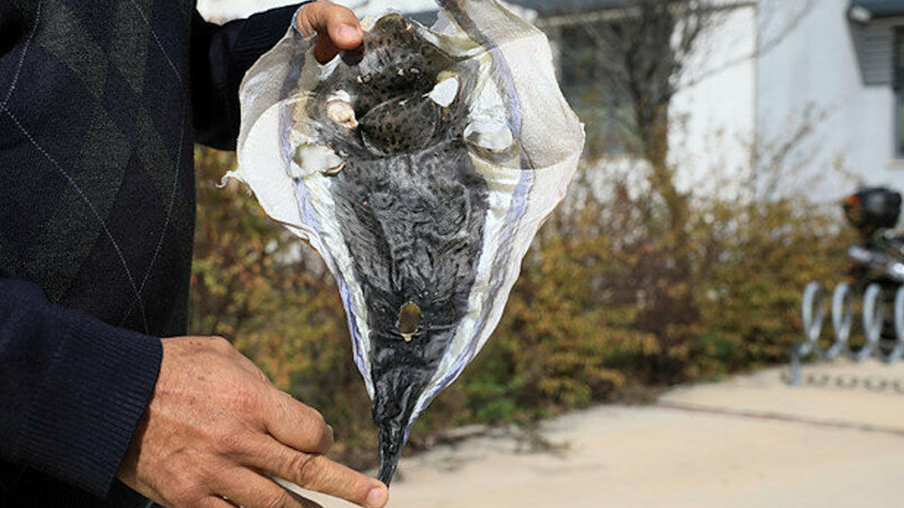 9Fb58368E12Dd8287B66D59B14668E0Fd3743F4B