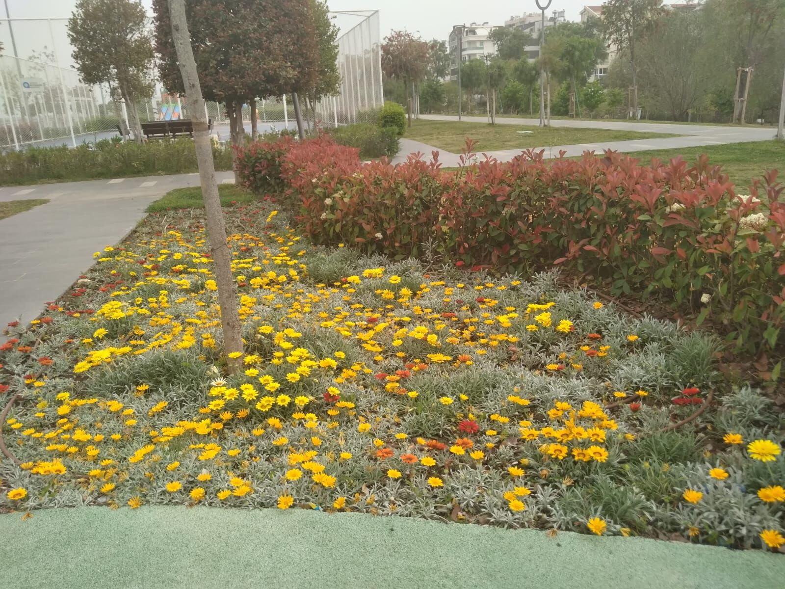 9Fd2D567 5978 46Ef 99D8 F64547027Abd