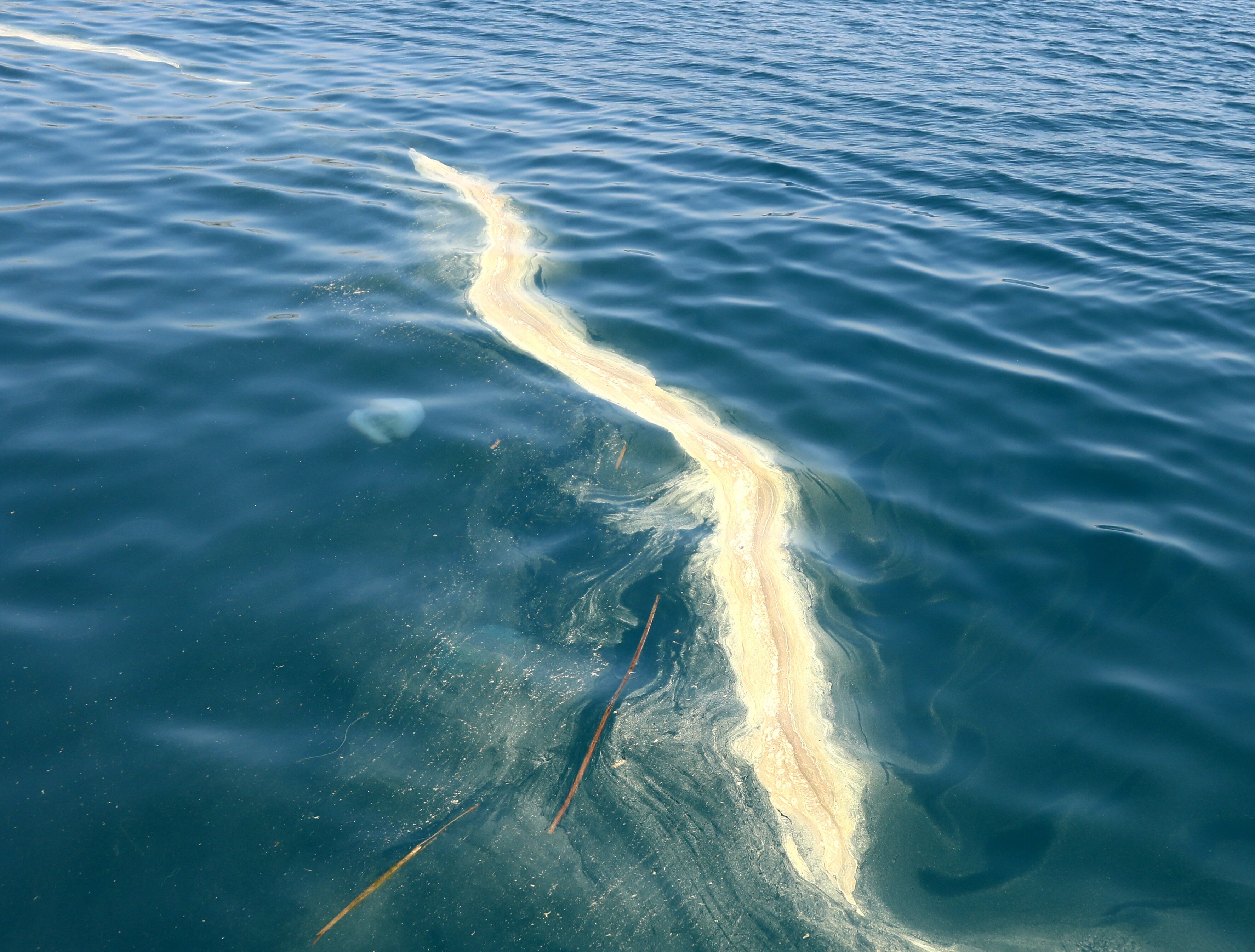 A N T A L Y A A C I K L A R I N D A D E N I Z A N A S I V E S A R I B 38038