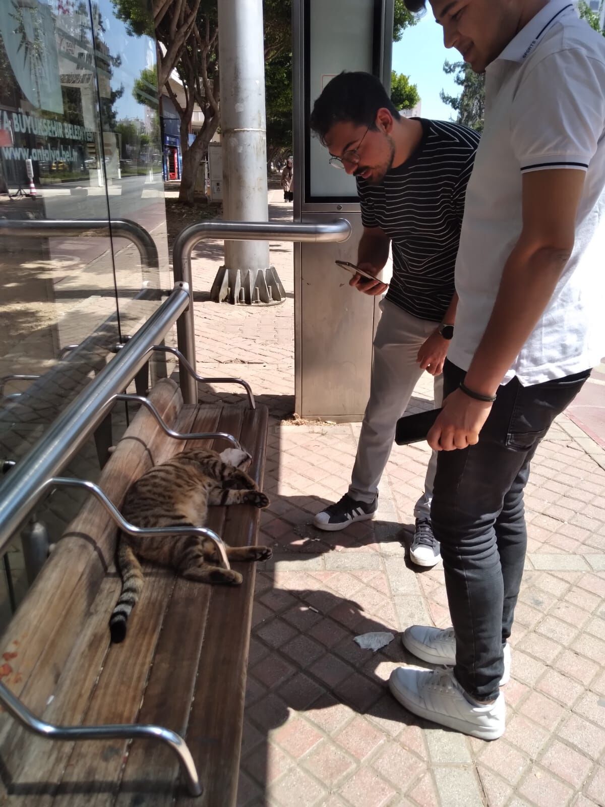 Bac11168 28E8 4184 8B2D 49A049A37400