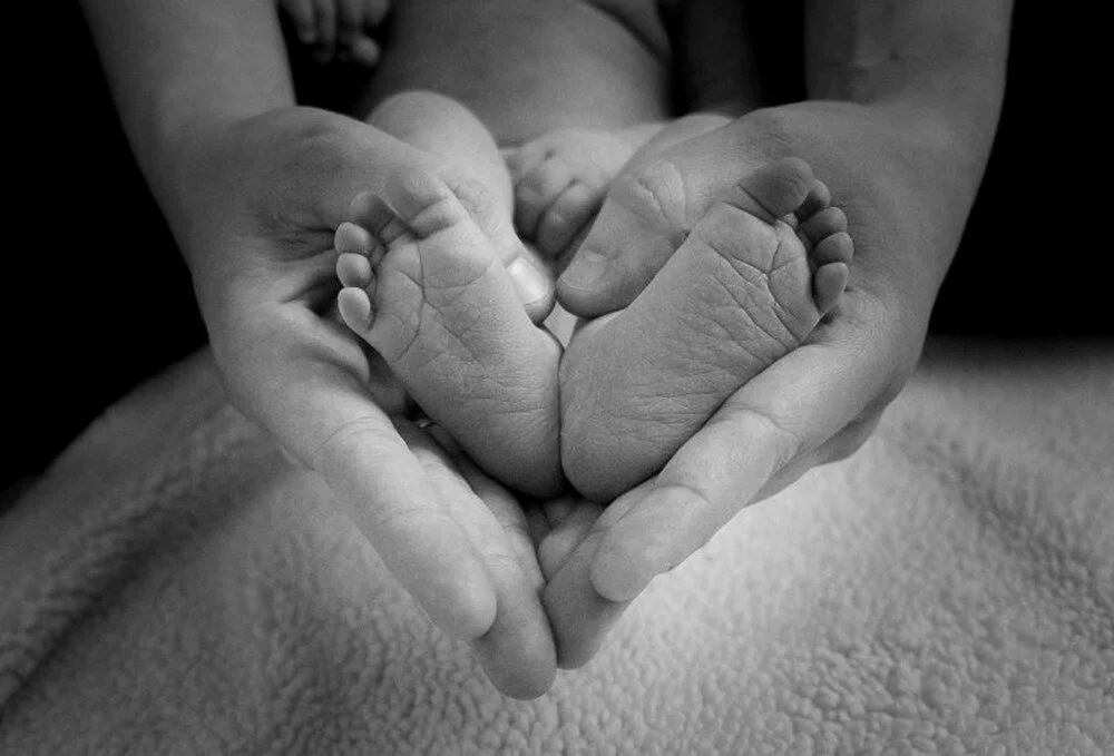 Basvuru Nasil Yapilacak