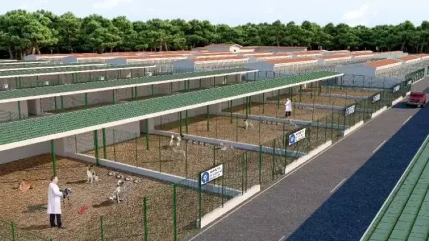 Buyuksehir Hayvan Barinak (Small)