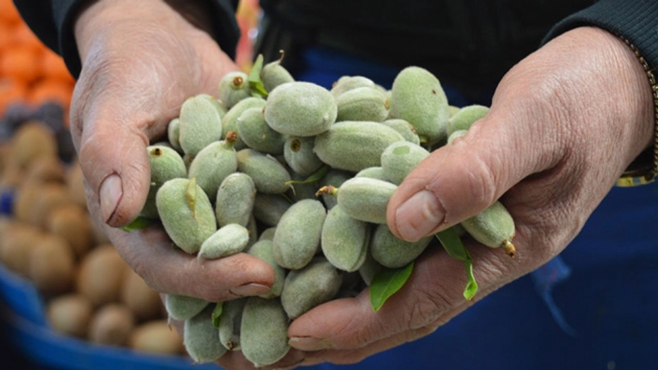 Cagla Meyvesinin Faydalari